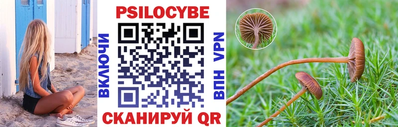 купить наркотик  Амурск  Псилоцибиновые грибы MAGIC MUSHROOMS 