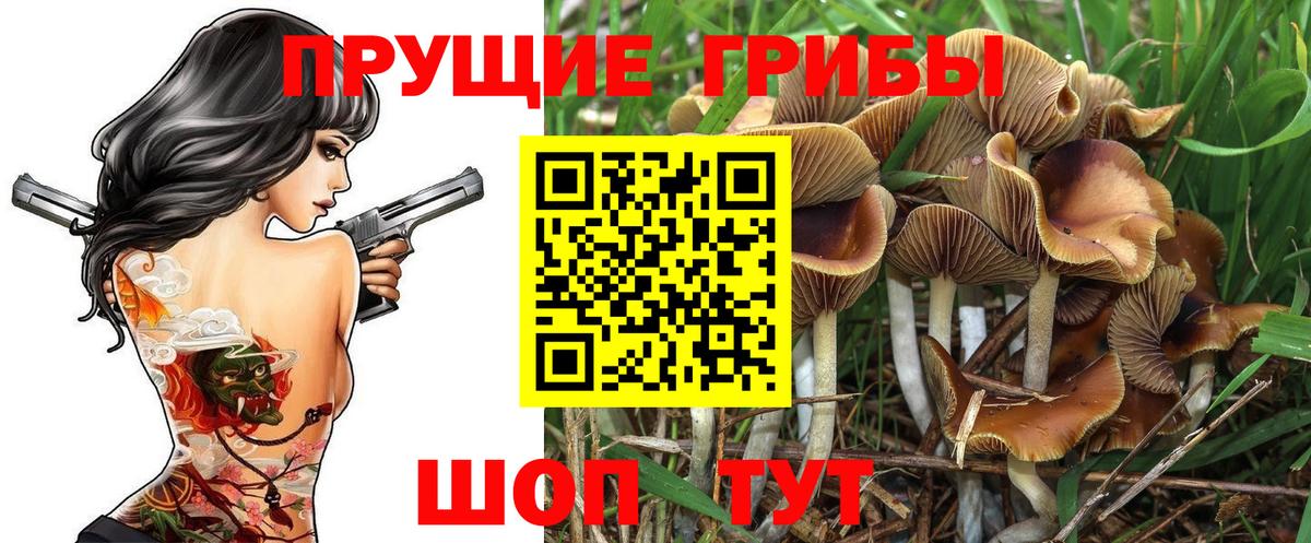 Псилоцибиновые грибы мухоморы Амурск